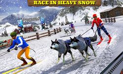 Imagen  de Sled Dog Racing 2017