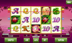 Immagine 1 di Lucky Lady Deluxe Slots