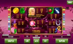 Immagine 3 di Lucky Lady Deluxe Slots