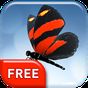 Butterflies 3D Live Wallpaper APK Icon