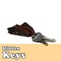 APK-иконка Hidden Object Games - Keys