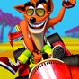 Bandicoot Kart Racing APK