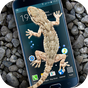 Geco nel Telefono - scherzo APK