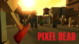 Imagem 10 do Pixel Dead