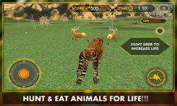 Wild Jungle Tiger Attack Sim image 11