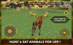 Wild Jungle Tiger Attack Sim image 1