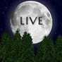 Luna llena Live Wallpaper apk icono