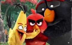 XPERIA™ The Angry Birds Movie Theme imgesi 