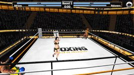 Boxing - Road To Champion Bild 21