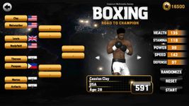 Immagine 12 di Boxing - Road To Champion