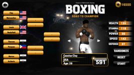 Imagen 12 de Boxing - Road To Champion