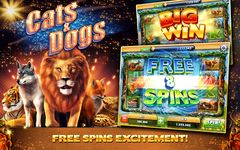 Imagem 2 do Cats & Dogs - FREE Slots