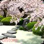 Zen Garden -Spring- LWallpaper APK Icon