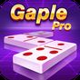 Domino Gaple Pro APK