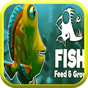 Feed & Grow a fish apk icon