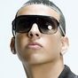 Ícone do Daddy Yankee TV (FREE)