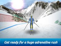 Imagem 1 do Top Ski Racing