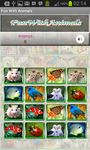 Fun With Animals Matching Game imgesi 1