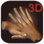 3D Chinese Hand Acupuncture APK