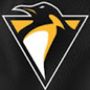 Penguinnni kullanıcısının AndroidListe Topluluğundaki profili