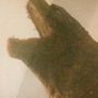 Perfil de rei Godzilla titanus gojira na comunidade AndroidLista