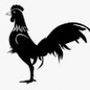 Profil Chicken di Komunitas AndroidOut