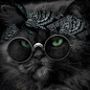 Профиль Хороший Котик на AndroidList