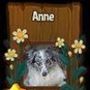 Profil de Anne dans la communauté AndroidLista