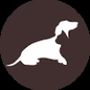 Perfil de DogCat en la comunidad AndroidLista