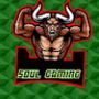 Soul gaming's profile on AndroidOut Community