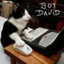 Perfil de David na comunidade AndroidLista