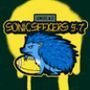 SonicSeekers's profile on AndroidOut Community