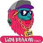 Perfil de Lion Urbano en la comunidad AndroidLista