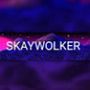 Профиль SKAYWOLKER на AndroidList