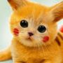 Perfil de Pikachu gatito en la comunidad AndroidLista