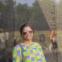 sheela's profile on AndroidOut Community