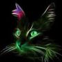 Perfil de Gato na comunidade AndroidLista