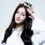 Hồ sơ của fan momoland trong cộng đồng Androidout
