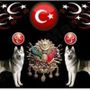Профиль osman на AndroidList
