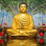 buddha's profile on AndroidOut Community