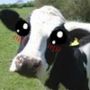 Perfil de Vaca na comunidade AndroidLista