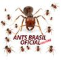 Perfil de ANTS BRASIL na comunidade AndroidLista