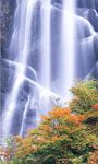 Imagem 1 do Waterfall 3D HD Live Wallpaper