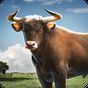 APK-иконка Симулятор быка 3D