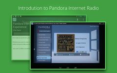 Pandora Internet Radio Course image 2