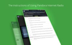 Pandora Internet Radio Course image 4