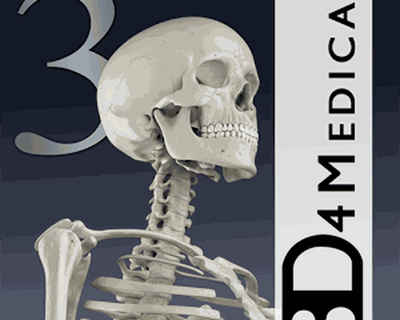 Включи скелет 3. Скелет 3д модель. Скелет человека 3d приложение. Номм 3 скелет. Постер а3 скелет Metal.