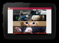 Captura de tela do apk Vídeos engraçados 