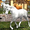 imagen life of horse wild simulator 0mini comments