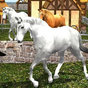 Life of Horse - Wilde Sim APK Icon